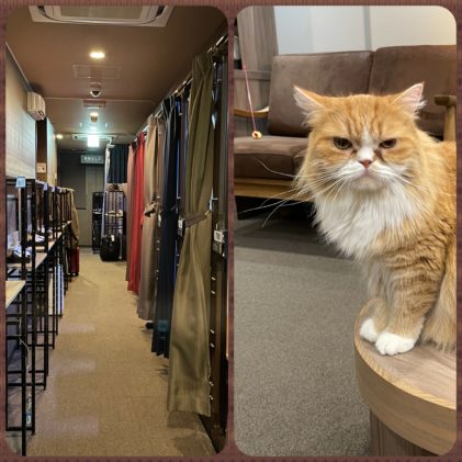 Tokio: Kapselhotels & Katzencafés