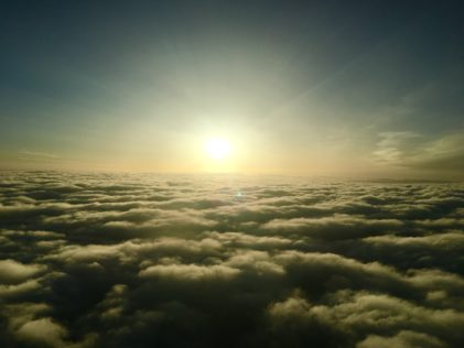 Immer der Sonne entgegen