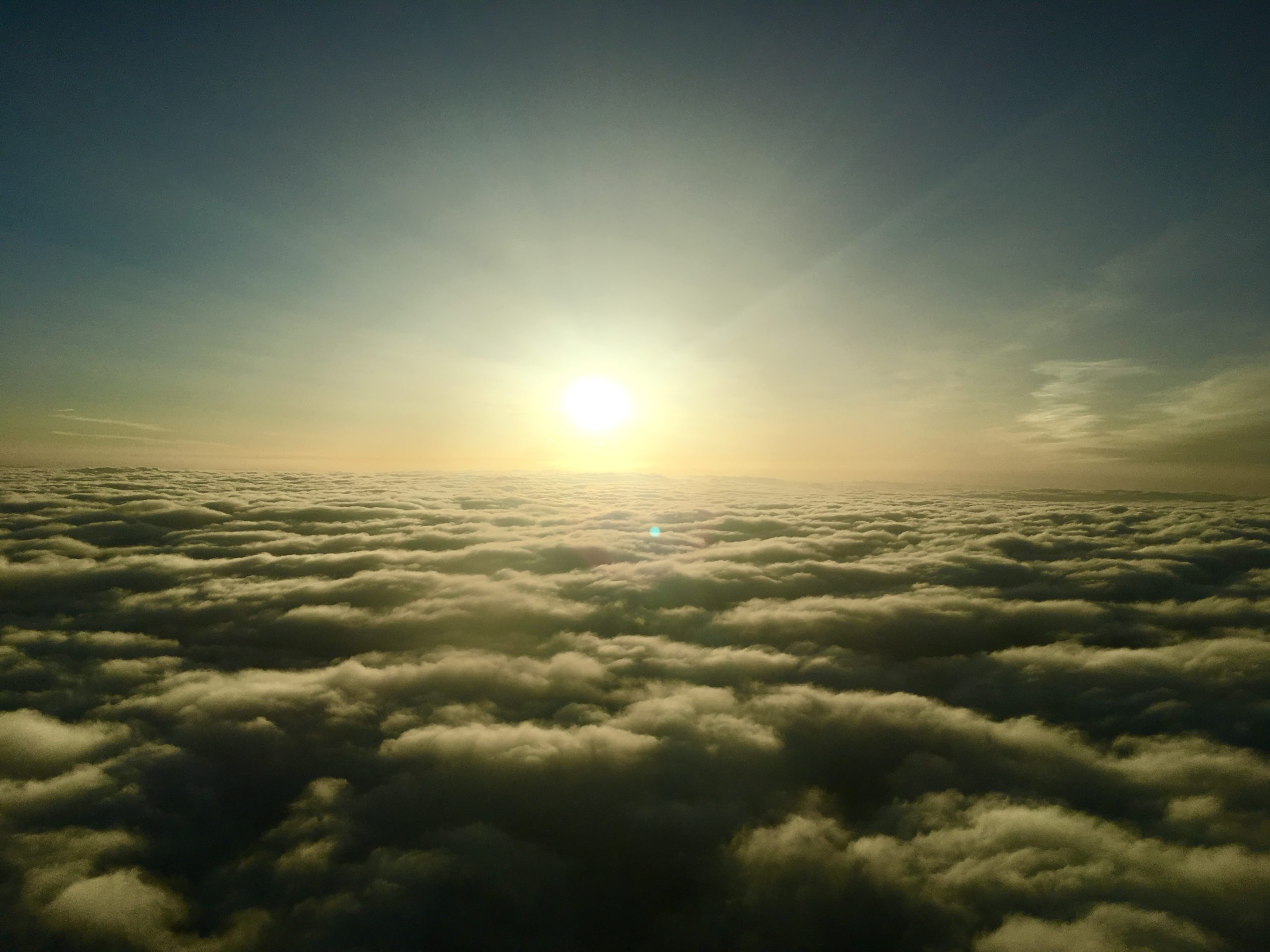 Immer der Sonne entgegen