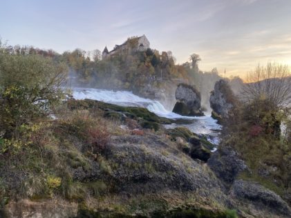 Nicht Rheinfallen!